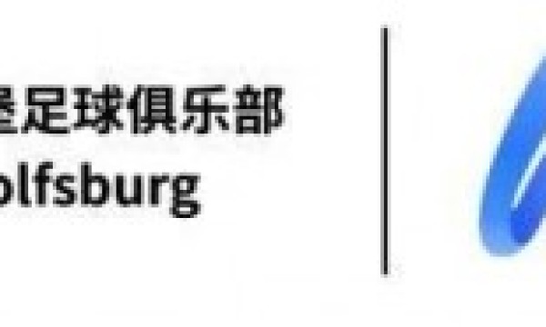 合作升级！华体会（HTH）体育联手沃尔夫斯堡引领数字体育新浪潮