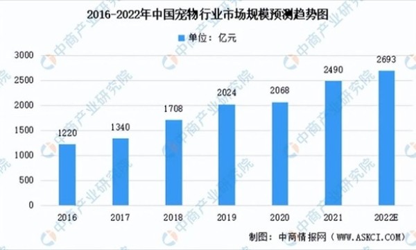 千亿价值的宠物市场 波奇网如何破局?