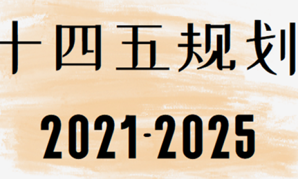 （公布十四五规划主要内容）