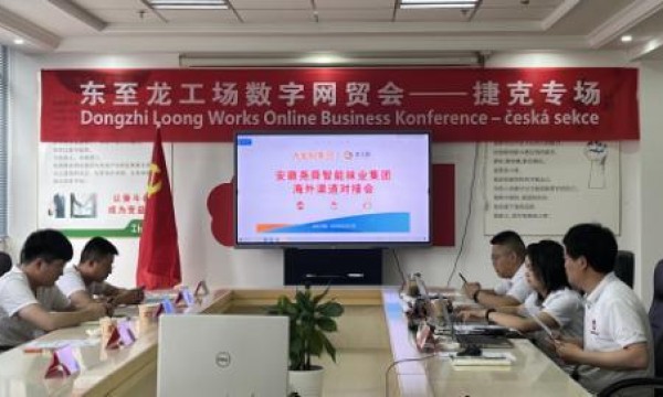 大龙网成功举办捷克-东至龙工场数字贸易洽谈会